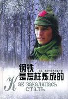 《钢铁是怎样炼成的》 电视剧免费在线观看高清完整版